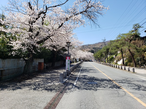 宝登山参道